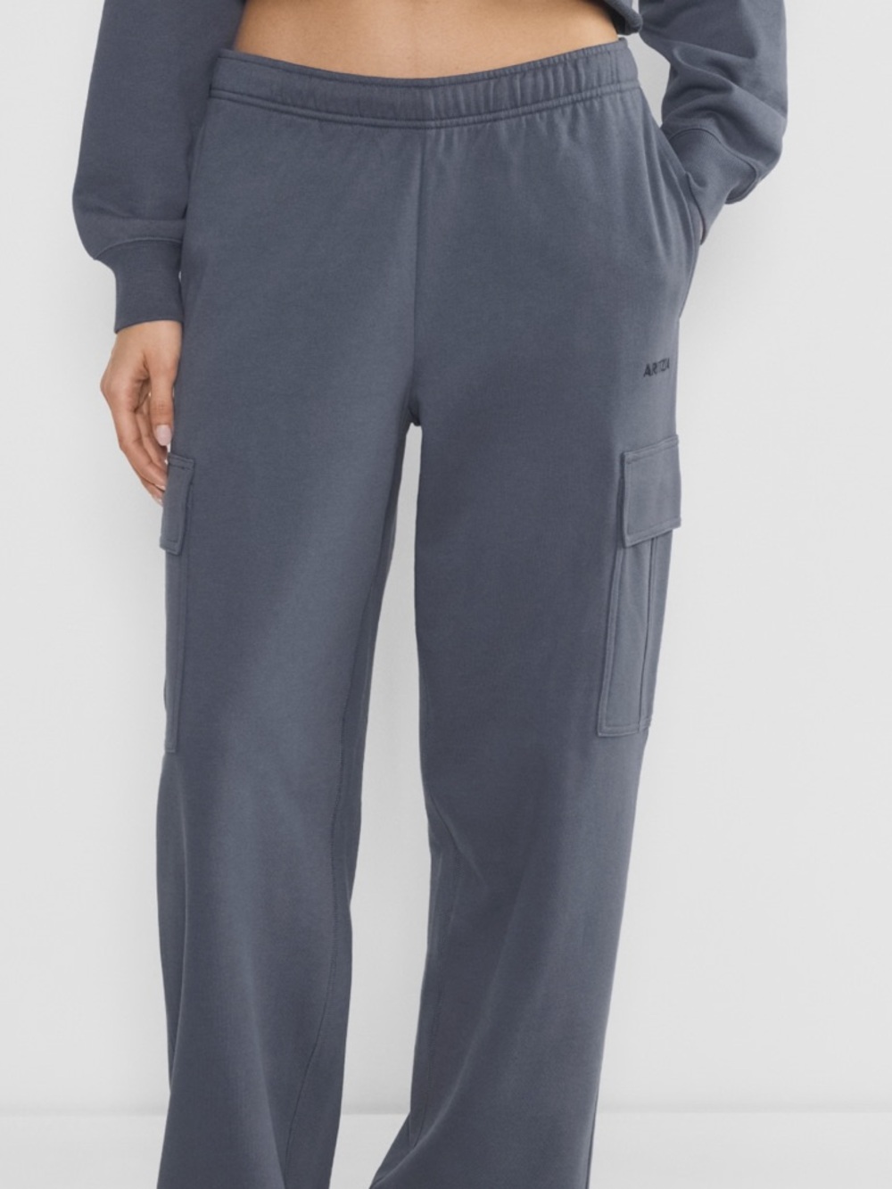 Aritzia Terry Sweatfleece Mega Cargo Sweatpant - Picture 3 of 5